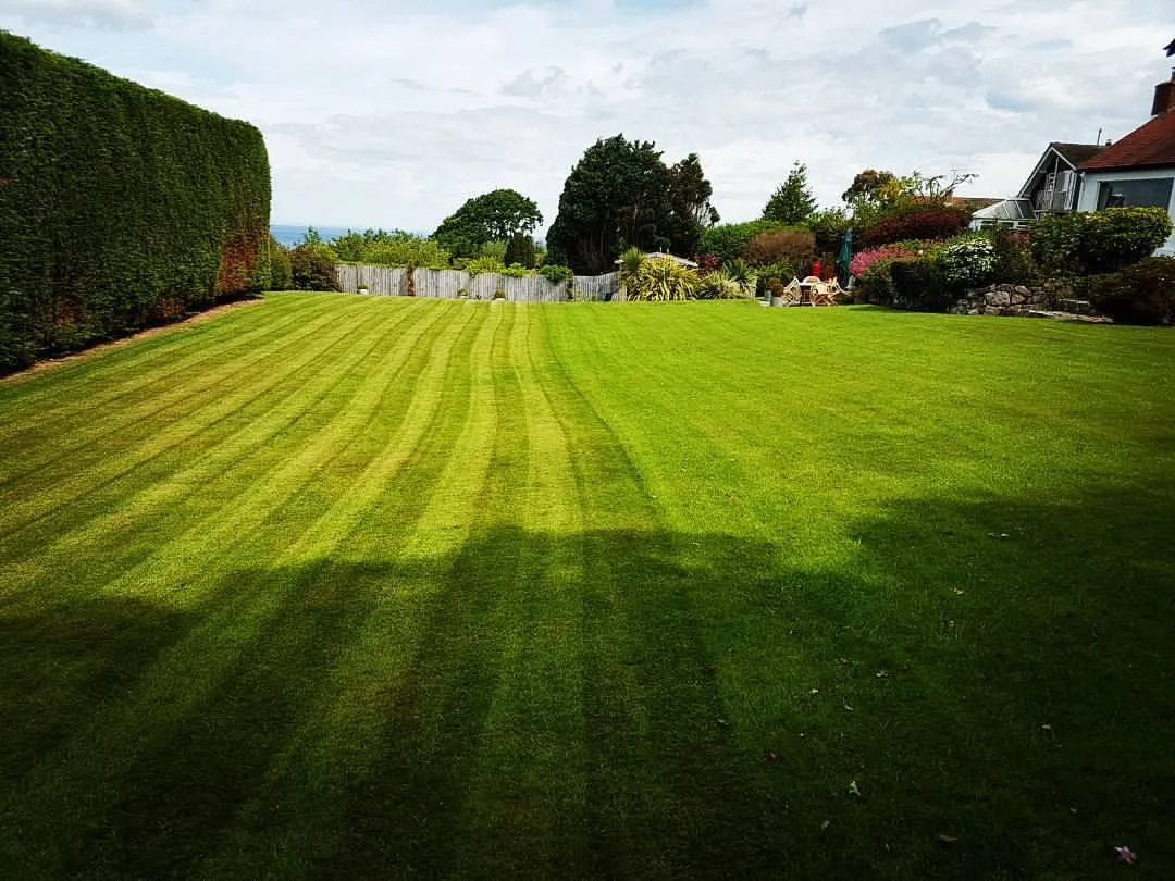 Freshly cut striped lawn in North Wales